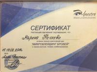 Сертификат сотрудника Нечаева М.В.