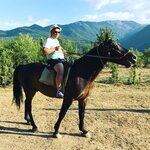 Тигран Мартиросян