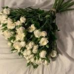 Ксения Степанова