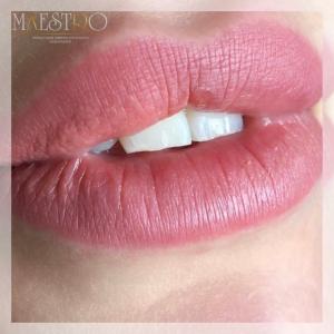 Фотография Maestro 1