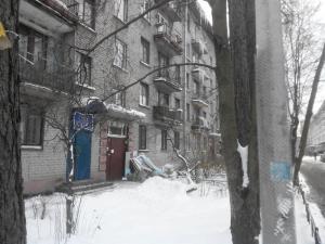 Фотография Широкий Пробор 5