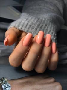 Фотография Top Hands 0