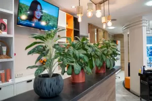 Фотография Дуэт 4